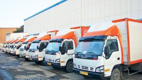 مجوزدهی شرکت‌های پخش